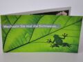 Flyer Frosch